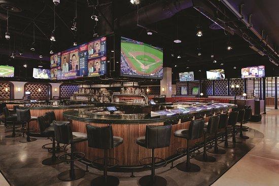 Moneyline Sports Bar & Book